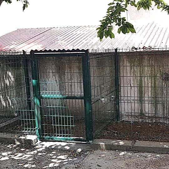Hayvan Barınakları
