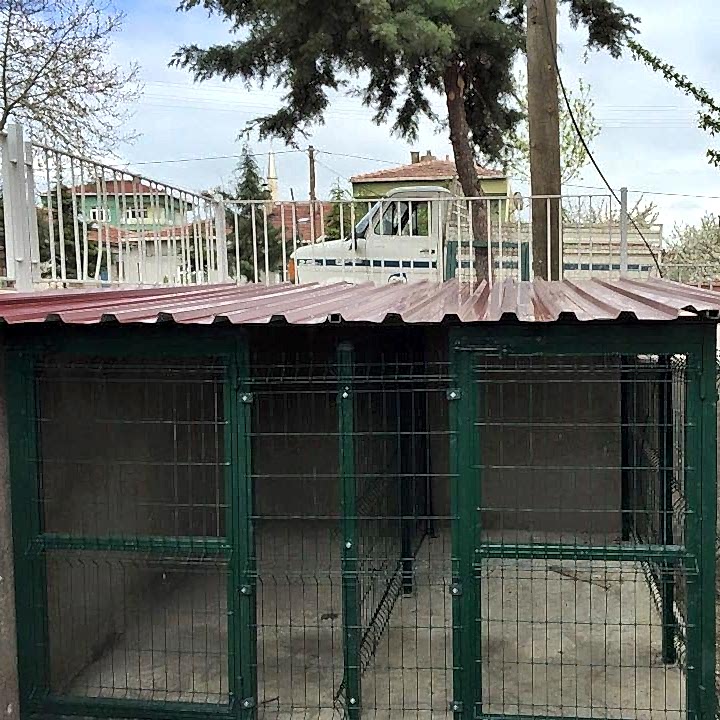 Hayvan Barınakları
